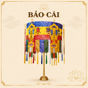 BẢO CÁI