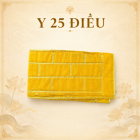 Y 25 ĐIỀU